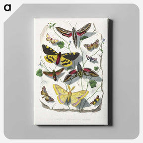 1-18_Le-Jardin-des-Plantes_canvas
