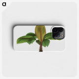 1-18_Les-Palmiers-Histoire-Iconographique_phone