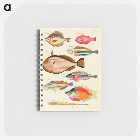 アートメモ帳-Moluccan Fishes
 - ルイ ルナール Memo.