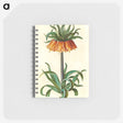 1-18_Maria-Sibylla-Merian_memo