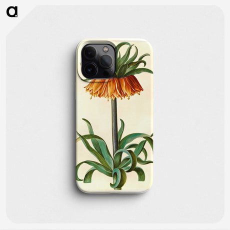1-18_Maria-Sibylla-Merian_phone