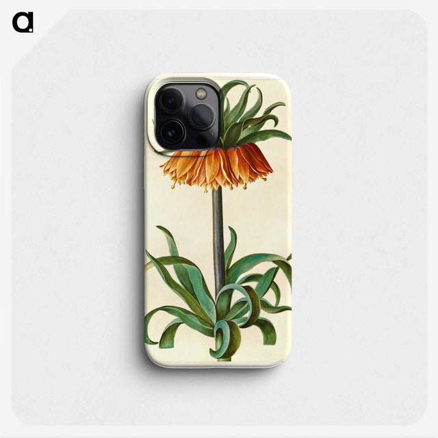 1-18_Maria-Sibylla-Merian_phone