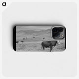1-18_Marion-Post-Wolcott_phone