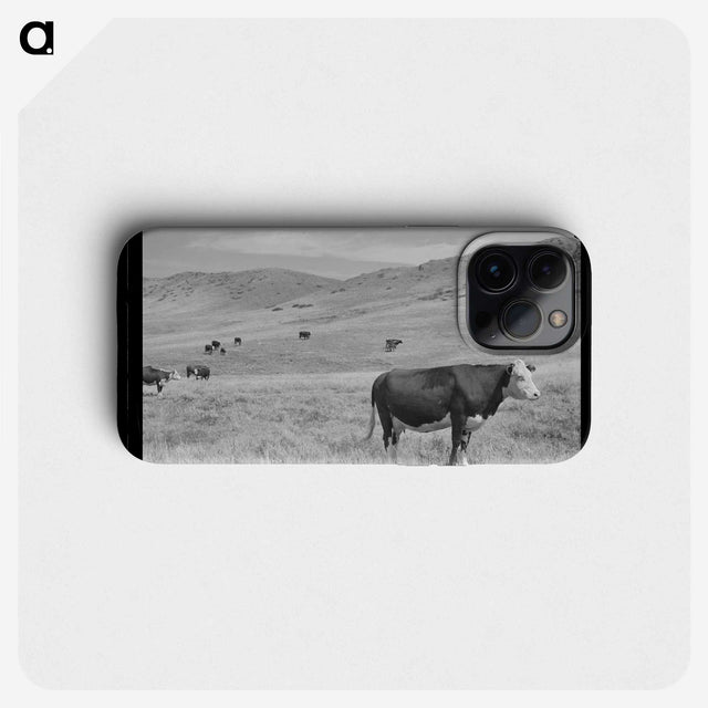 1-18_Marion-Post-Wolcott_phone