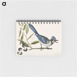 1-18_Mark-Catesby_memo