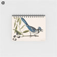 アートメモ帳-Crested Jay
 - マーク ケイツビー Memo.
