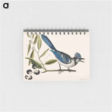 アートメモ帳-Crested Jay
 - マーク ケイツビー Memo.