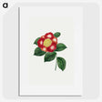 1-18_Mary-Altha-Nims_picture