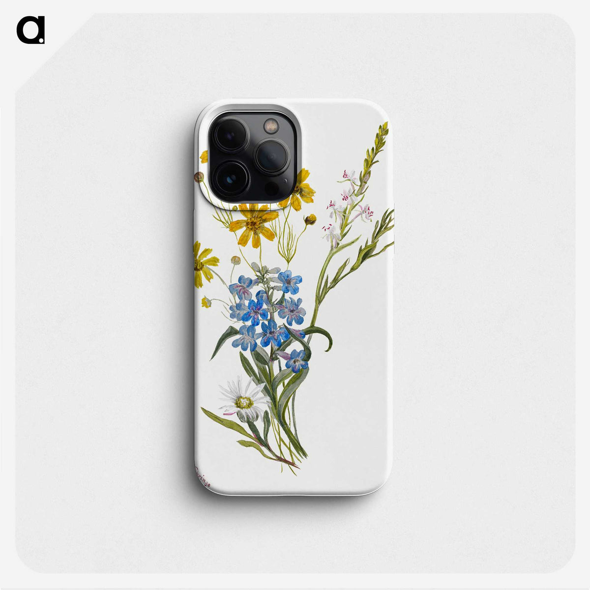 1-18_Mary-Vaux-Walcott_phone