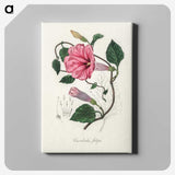 1-18_Medical-Botany_canvas