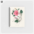 アートメモ帳-Jalap (Convolvulus jalapa) Illustration
 - 薬用植物学 Memo.