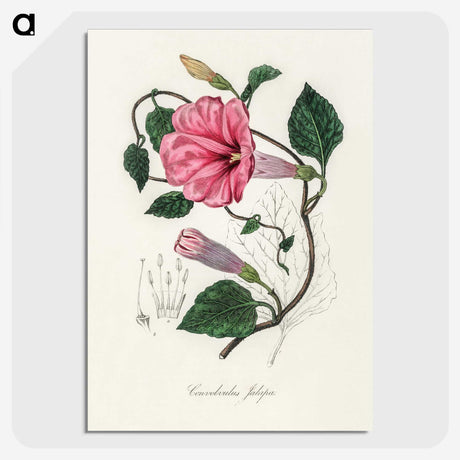 1-18_Medical-Botany_picture-crop