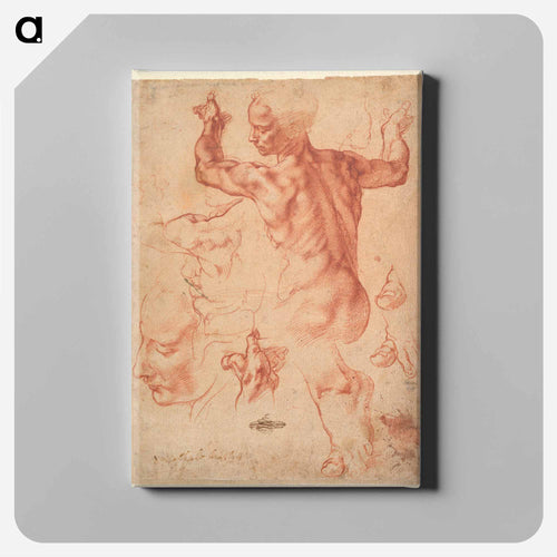 Studies for the Libyan Sibyl (recto); Studies for the Libyan Sibyl and a small Sketch for a Seated Figure (verso) - ミケランジェロ ブオナローティ Canvas.