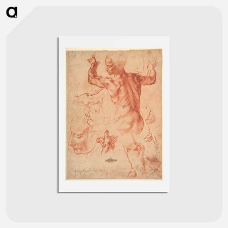 アートポストカード-Studies for the Libyan Sibyl (recto); Studies for the Libyan Sibyl and a small Sketch for a Seated Figure (verso) - ミケランジェロ ブオナローティ Postcard.