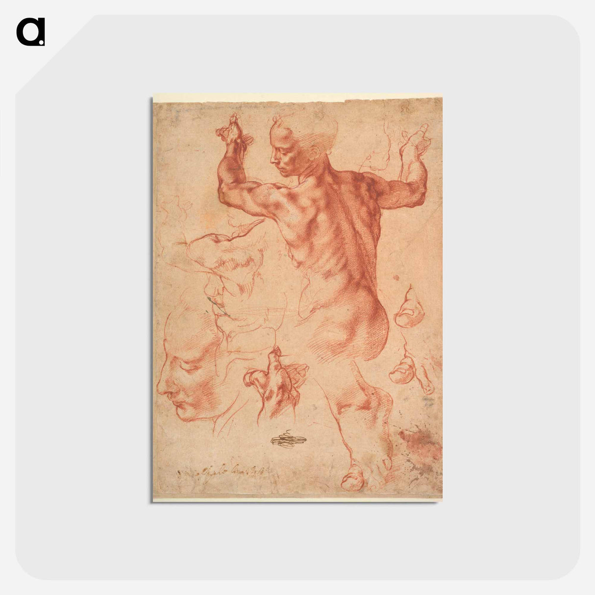 アートポストカード-Studies for the Libyan Sibyl (recto); Studies for the Libyan Sibyl and a small Sketch for a Seated Figure (verso) - ミケランジェロ ブオナローティ Postcard.
