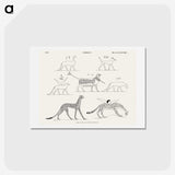 1-18_Monuments-of-Egypt-and-Nubia_hagaki