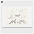 1-18_Monuments-of-Egypt-and-Nubia_picture
