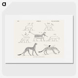 1-18_Monuments-of-Egypt-and-Nubia_picture