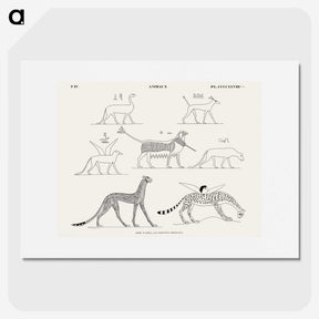 1-18_Monuments-of-Egypt-and-Nubia_picture