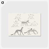 1-18_Monuments-of-Egypt-and-Nubia_postcard