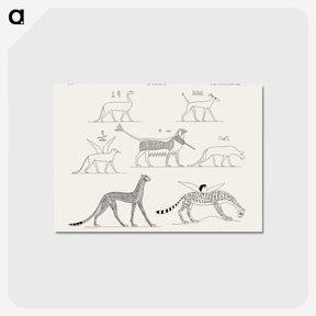 1-18_Monuments-of-Egypt-and-Nubia_postcard