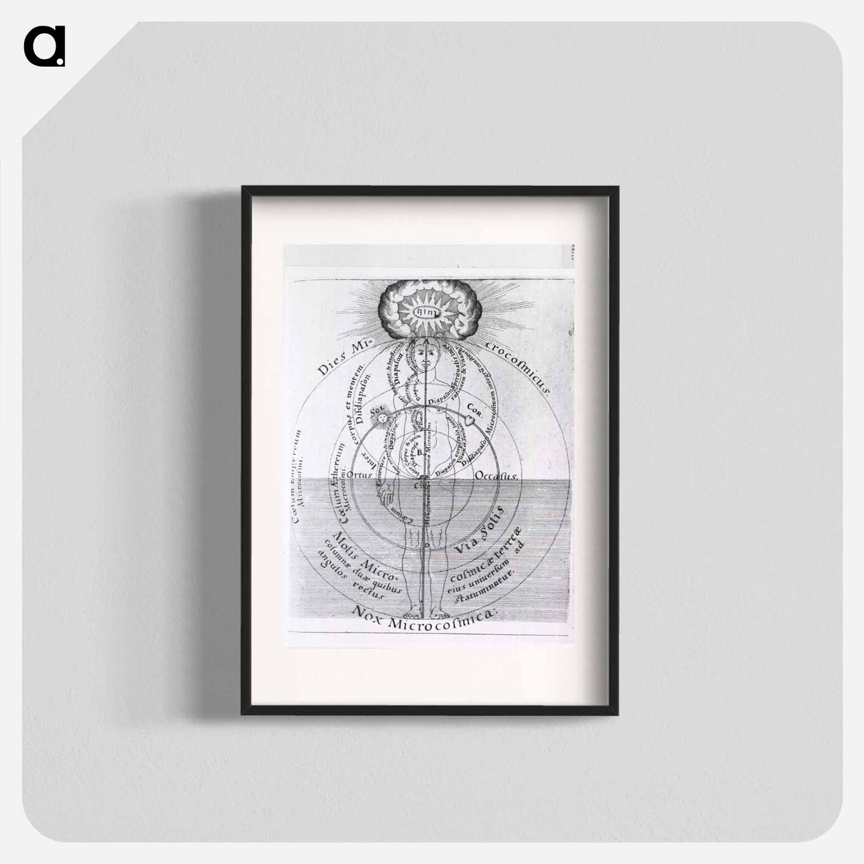 アートポスター-Dies Microcosmicus: Nox Microcosmica
 - 国立医学図書館 Poster.