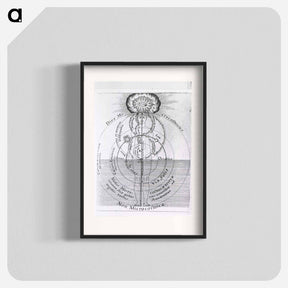アートポスター-Dies Microcosmicus: Nox Microcosmica
 - 国立医学図書館 Poster.