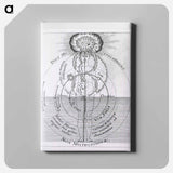 アートパネル-Dies Microcosmicus: Nox Microcosmica
 - 国立医学図書館 Canvas.