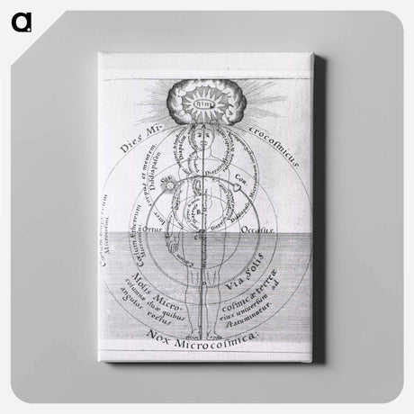 アートパネル-Dies Microcosmicus: Nox Microcosmica
 - 国立医学図書館 Canvas.