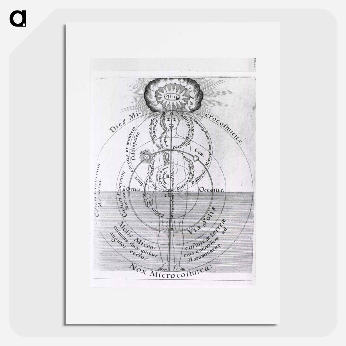 アートポスター-Dies Microcosmicus: Nox Microcosmica
 - 国立医学図書館 Poster.