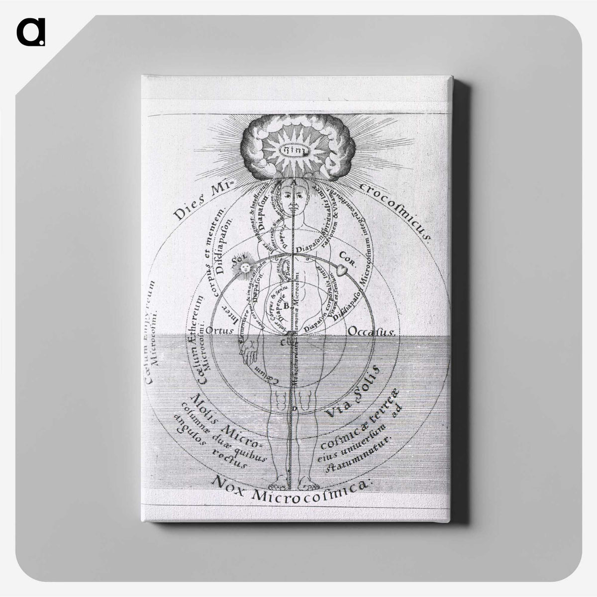 1-18_National-Library-of-Medicine_canvas