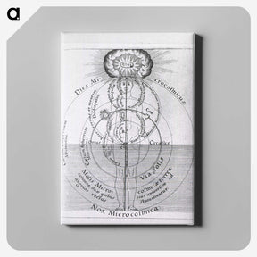 1-18_National-Library-of-Medicine_canvas