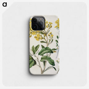 1-18_Native-Flowering-Plants-of-New-Zealand_phone