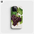 1-18_Nederlandsche-Flora-en-Pomona_phone