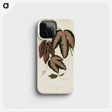 1-18_New-and-Rare-Beautiful-Leaved-Plants_phone