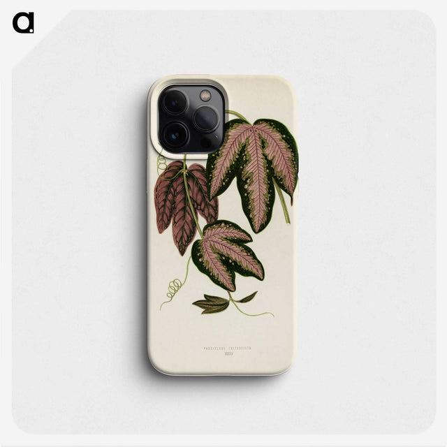 1-18_New-and-Rare-Beautiful-Leaved-Plants_phone