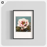 Tree Peony - 小川 一正 Poster.