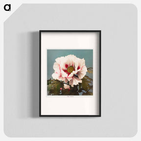 アートポスター-Tree Peony - 小川 一正 Poster.