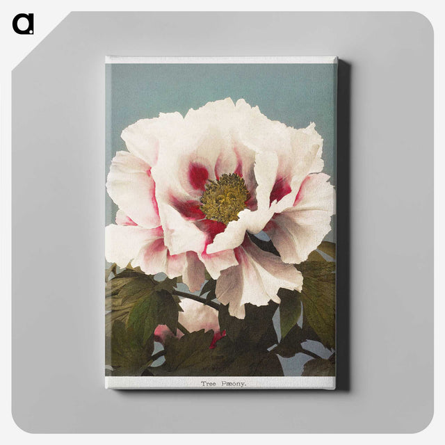 1-18_Ogawa-Kazumasa_canvas