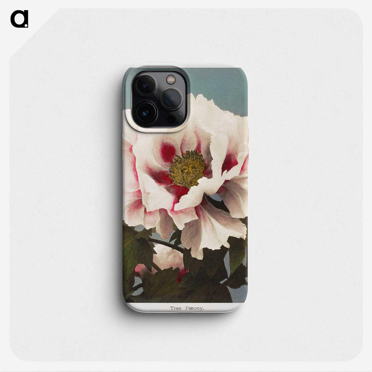 1-18_Ogawa-Kazumasa_phone