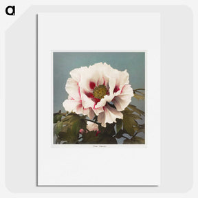 1-18_Ogawa-Kazumasa_picture