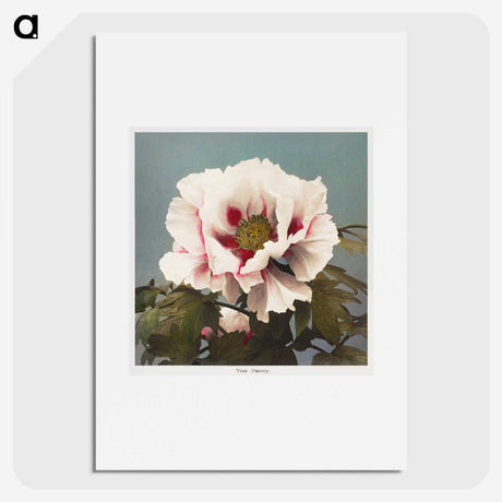 1-18_Ogawa-Kazumasa_picture
