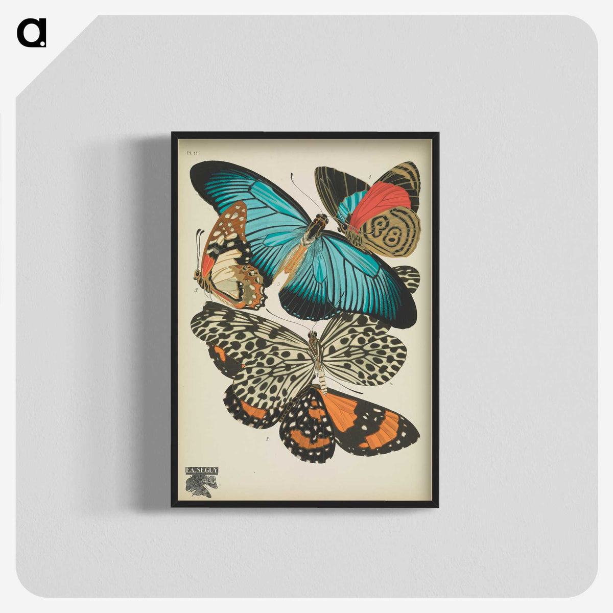 1-18_Papillons_blk-crop