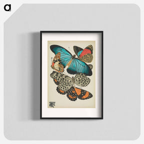 アートポスター-Vintage Butterflies
 - パピヨン Poster.