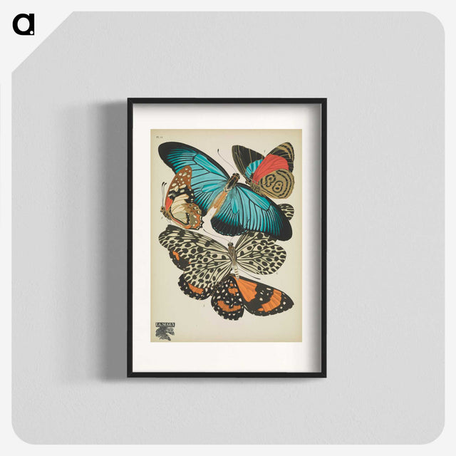 1-18_Papillons_blk