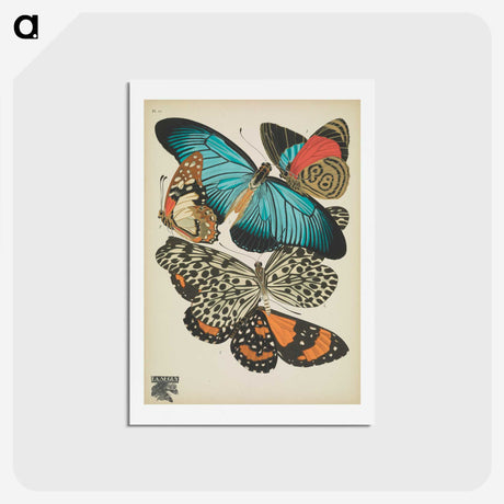 1-18_Papillons_hagaki