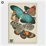 1-18_Papillons_picture-crop