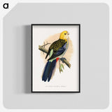 1-18_Parrots-in-Captivity_blk-crop
