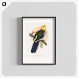 1-18_Parrots-in-Captivity_blk