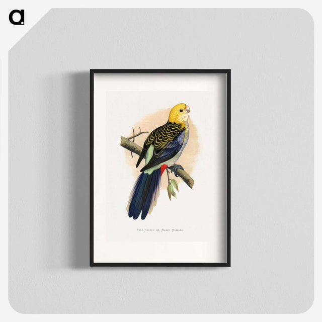 1-18_Parrots-in-Captivity_blk